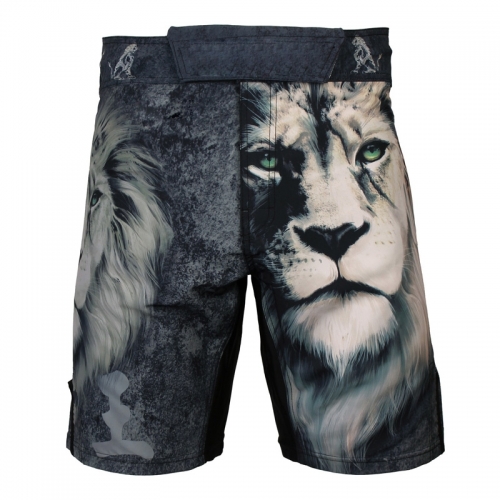 MMA Shorts