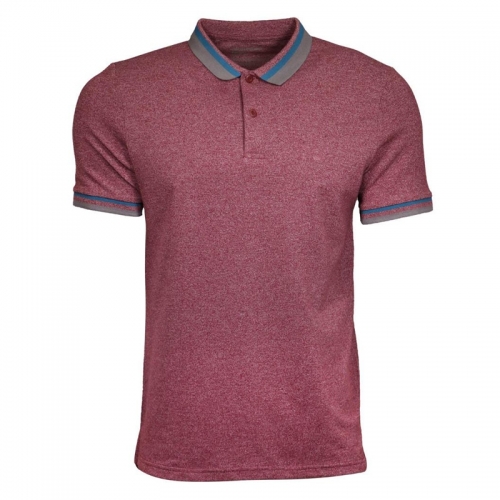 Polo T-Shirts (men)