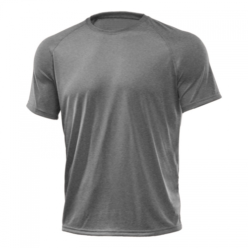 Gym T-Shirts (men) 